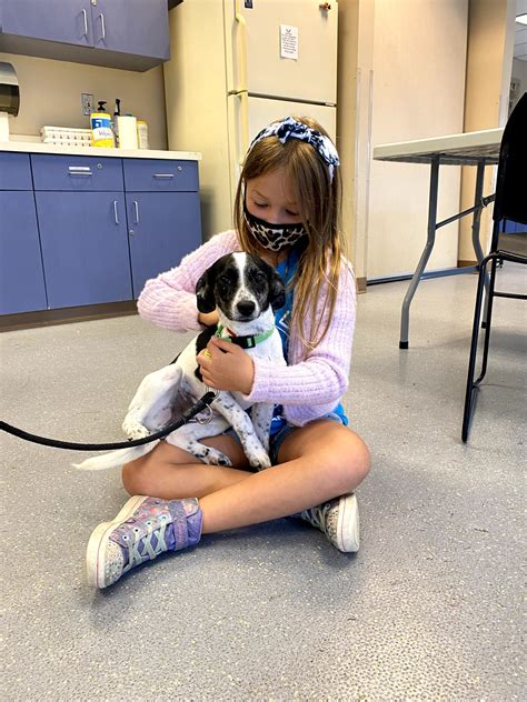 Humane society milwaukee - The Wisconsin Humane Society is committed to making a difference for animals and the people who love them. ... Milwaukee, WI 53208 414-264-6257. Hours of Operation. 